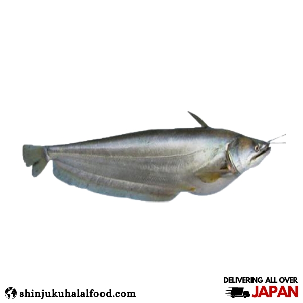 Boal Fish (500g)
