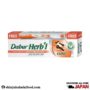 Dabur Herbal Clove Toothpaste (Brush Free)