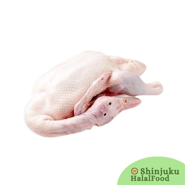 Duck With Head (2kg+) 頭のあるアヒル