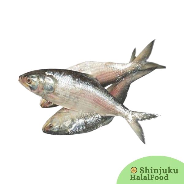 Hilsha Fish Cut Clean (500g)