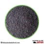 Mustard seeds black