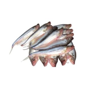 Pabda Fish Block (500g-800g)