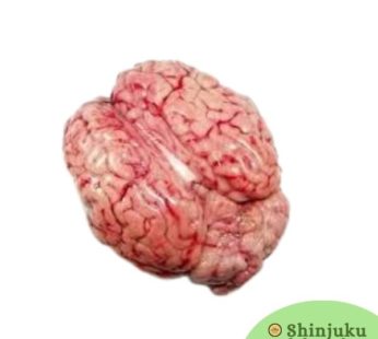 Sheep Brain (650g-700g) 羊の脳