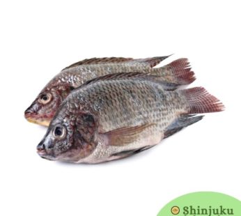 Telapia Fish Whole Frozen Cleaned (400-500g) ティラピアフィッシュ全冷凍洗浄