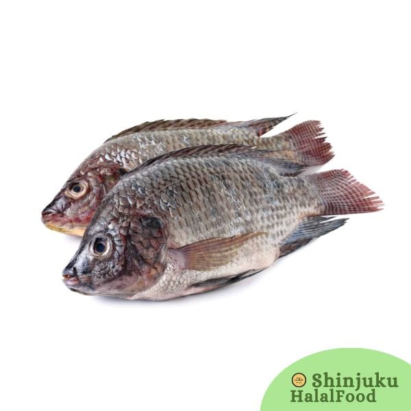Tilapia Fish Whole Frozen Cleaned (400-600g) ティラピアフィッシュ全冷凍洗浄