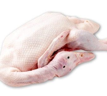 Duck With Head (2Kg+) 頭のあるアヒル