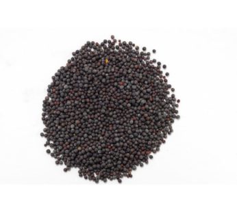 Mustard seeds black (500Gm) マスタードシードブラック