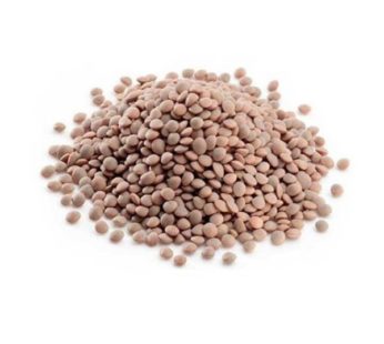 Masur Dal With Skin(Brown Lentil Beans)1Kg レンズ豆は皮で茶色