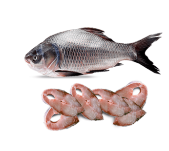 Katla Fish Whole Cut  (3.00-3.5Kg) カトラフィッシュ全体