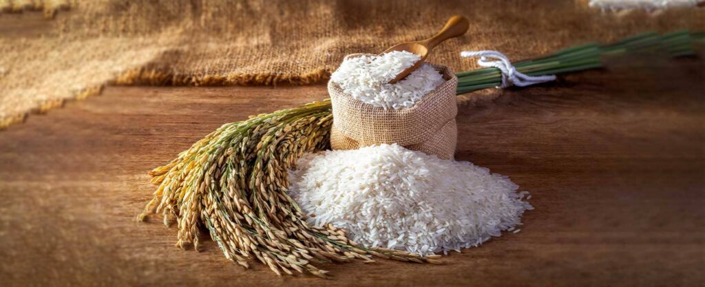 The Best Rice You Can Buy At Shinjuku Halal Food