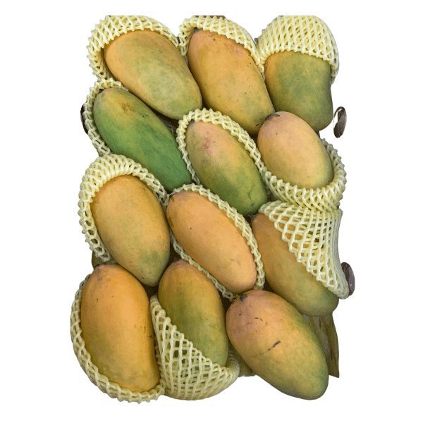 Mango Box (Pakistani sindhri- 12-14 Pcs/5kg)