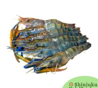 Water Shrimp (10p-12p)500g エビ