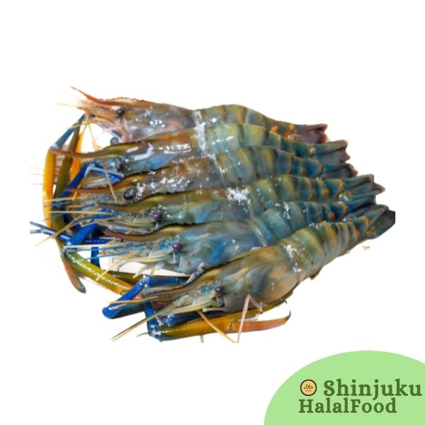 Water Shrimp (5-6Pcs) (500g) エビ