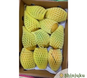 Indian Fresh Kesar Mango- 1 case/9-10 pieces