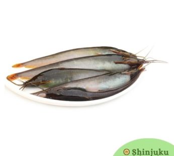 Shing Fish (500g) [Stinging Catfish]