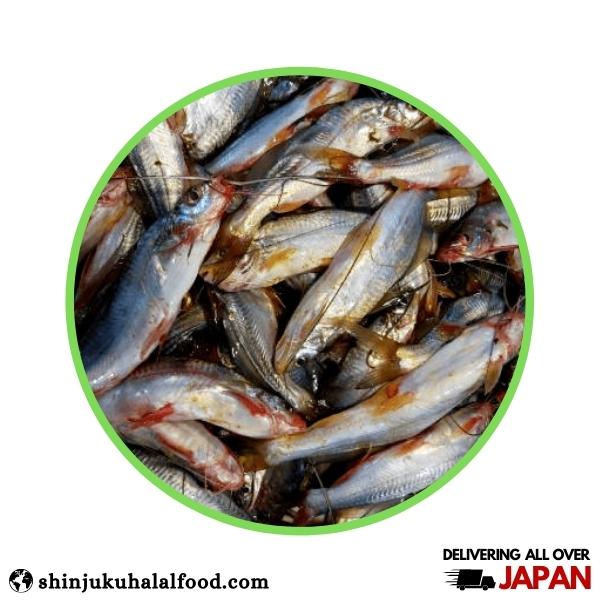Gulsha Fish/ Tengra Fish (500g)