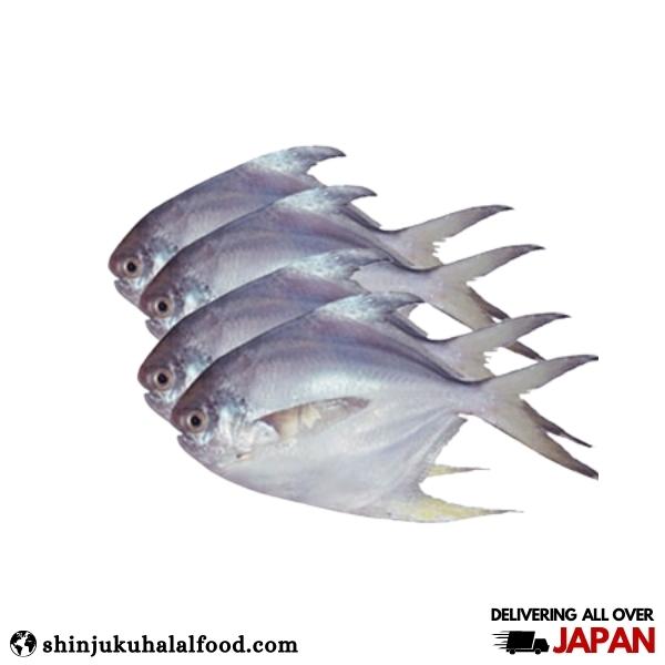 Rupchanda Fish (800g)