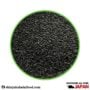 Sweet basil seed