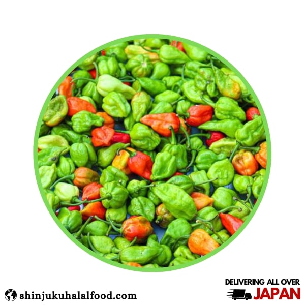 Bombay Morich/ Naga Morich (Fresh Hot Chilli) (100g)