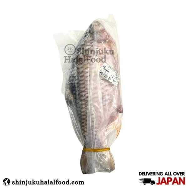 Shorputi Fish Whole (1.1kg -1.5kg)