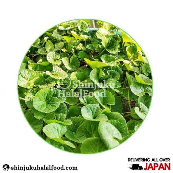 Centella leaves (Thankuni Pata) 50g