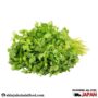 Fresh Coriander Leaves (100g)