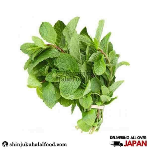 Fresh Mint (Pudina) Leaves (100g)